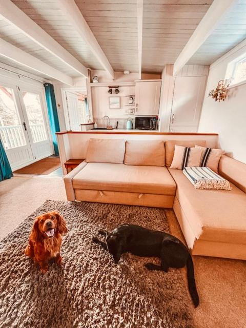 Blankednick Boltholes - 3 Beautiful Family Or Couples Cornish Getaways Villa Truro Exteriör bild